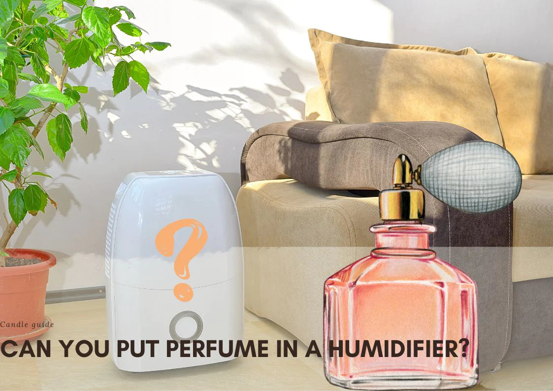 How to Put Perfume in Humidifier?