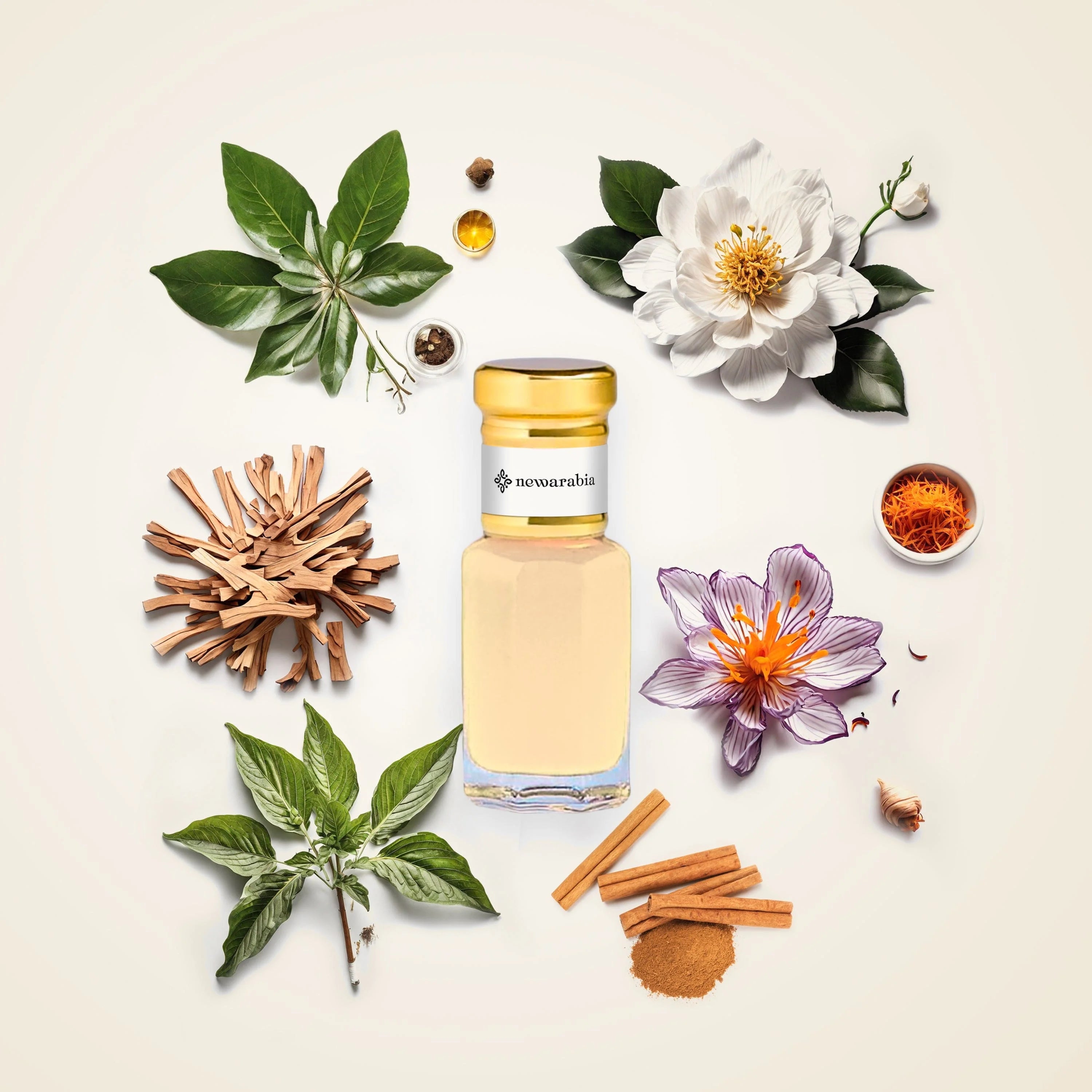 Euphoria - Perfume & Cologne Euphoria