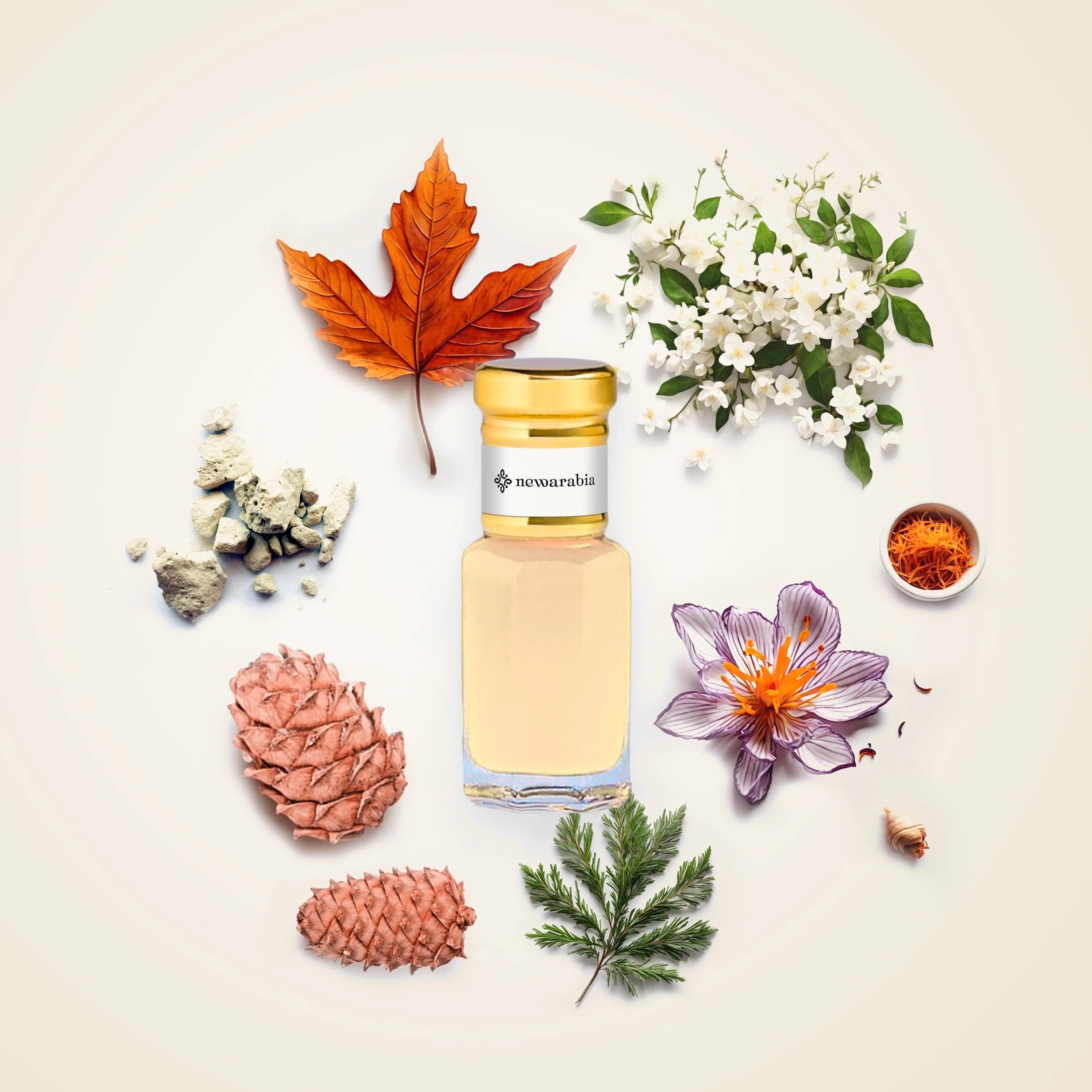 Rouge - Perfume & Cologne Rouge